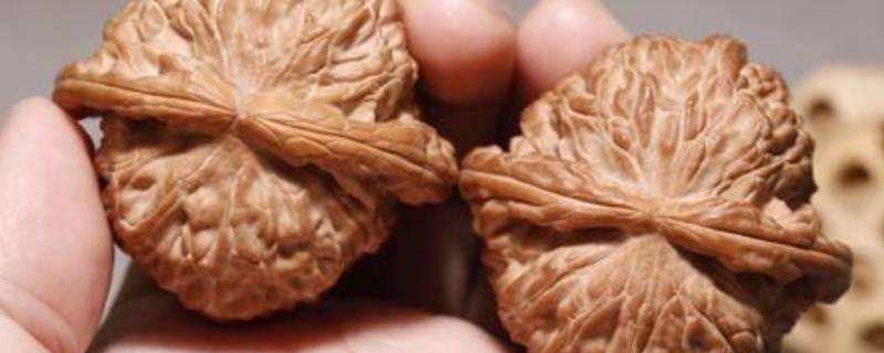 文玩核桃凹槽里面黑怎么去除 文玩核桃缝隙里发黑刷不掉