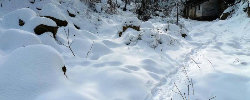 象征冬天的东西有哪些（象征冬天的东西有哪些名字）