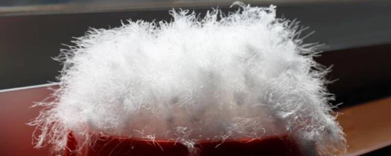 50白鸭绒是什么标准（国标50白鸭绒什么意思）