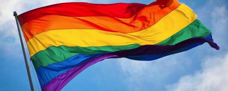 彩虹群体是什么 彩虹群体是什么群体