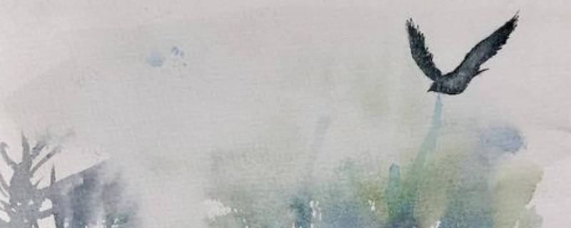 无脚鸟的寓意是什么（无脚的鸟的寓意是什么）