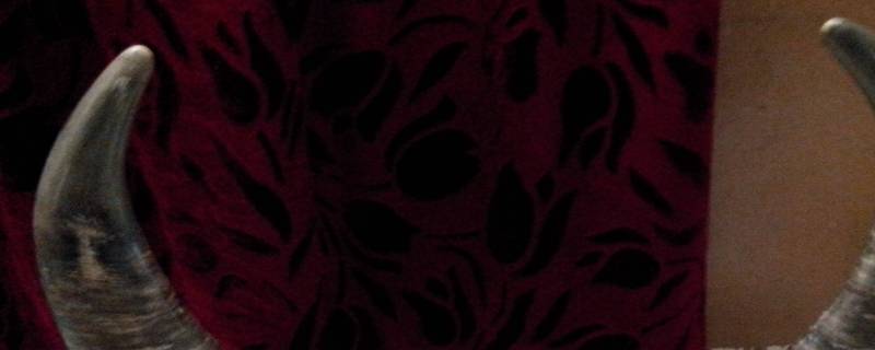 牛角有裂纹了能修复了吗 牛角有裂纹了能修复了吗