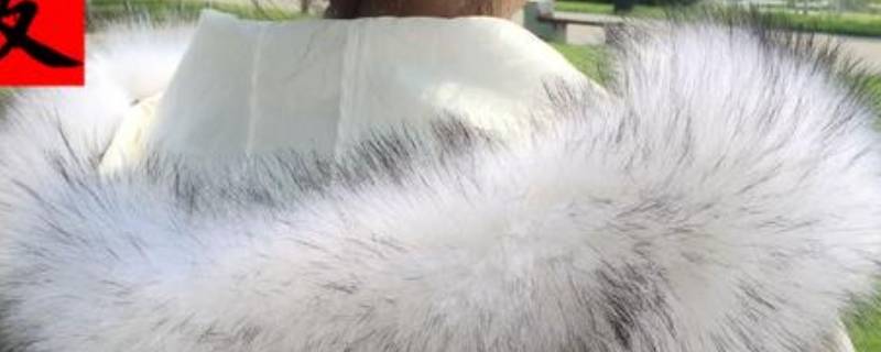 貉子毛领能不能水洗（狐狸毛领和貉子毛领怎么洗）