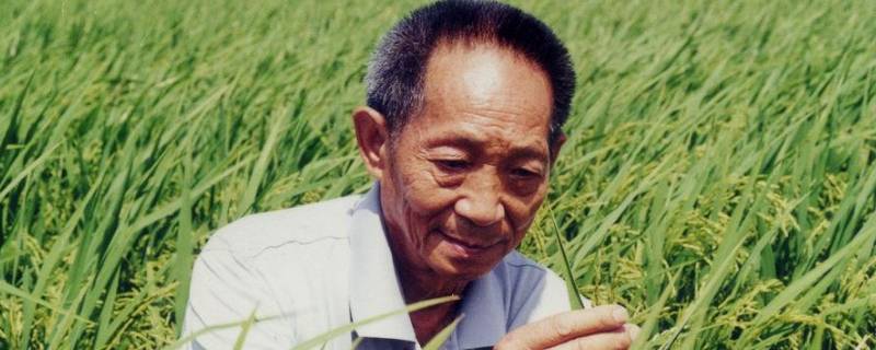 南袁北李指的是谁（南袁北李是讲哪两位杰出人物?）