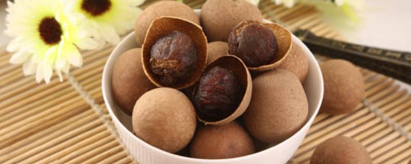 干桂圆泡水用不用去壳（桂圆干泡水要去壳吗）
