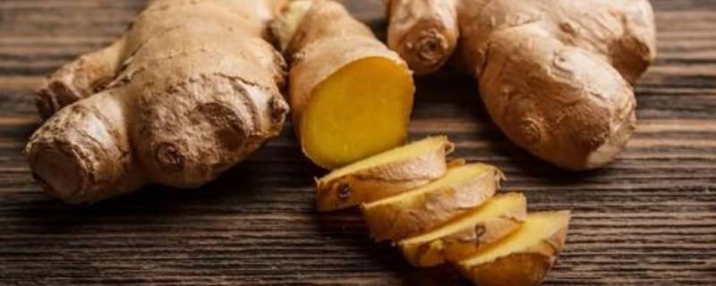 生姜从地里挖出来后如何储存 生姜从地里挖起来怎么保管他才不烂