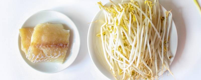 绿豆芽可以长多高（绿豆芽长多高了就不能吃了）