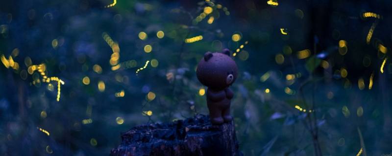 萤火虫有几只脚 萤火虫有几只脚?