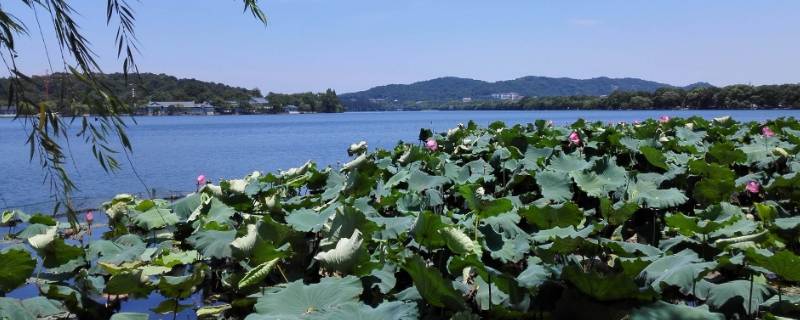 昭德县在哪（昭德县是哪个地区）