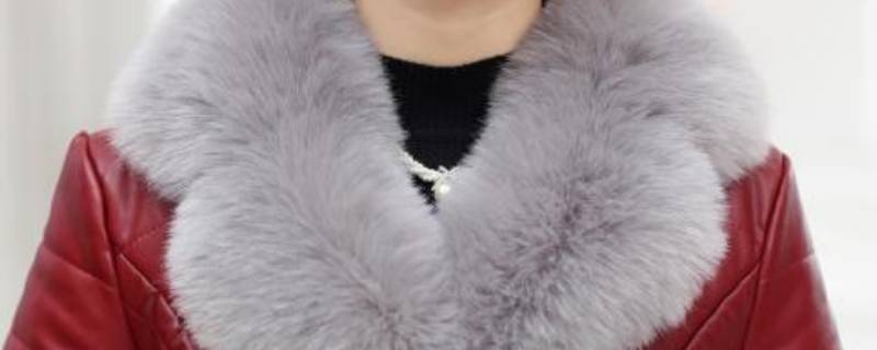 皮衣毛领脏了怎样清洗 皮衣毛领脏了怎样清洗视频
