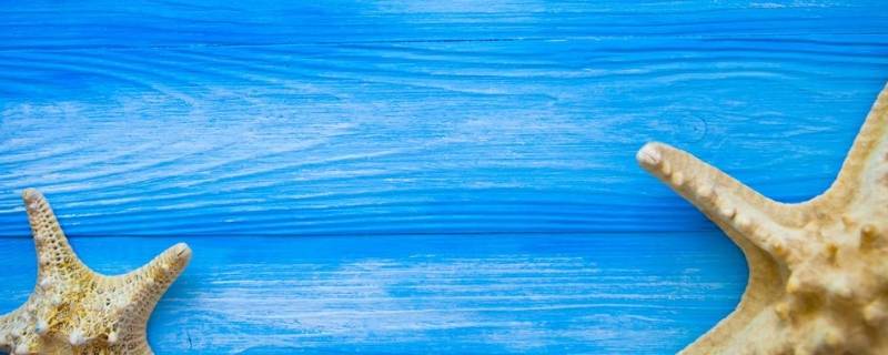 常见的蓝色东西有哪些（常见的蓝色东西有哪些呢）