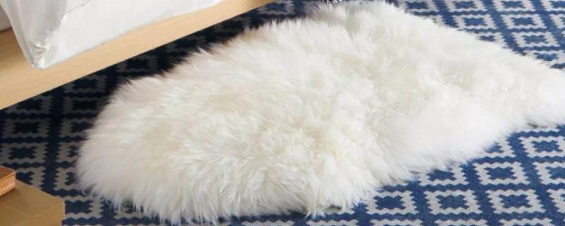 一整块羊毛皮怎么洗 一整块羊毛皮怎么洗才干净