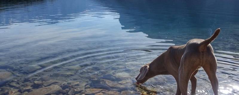 水加什么不会结冰 水加什么不会结冰的原因