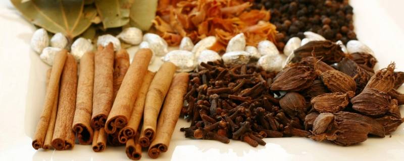 炖肉的香料有哪些（常用炖肉香料有哪些）