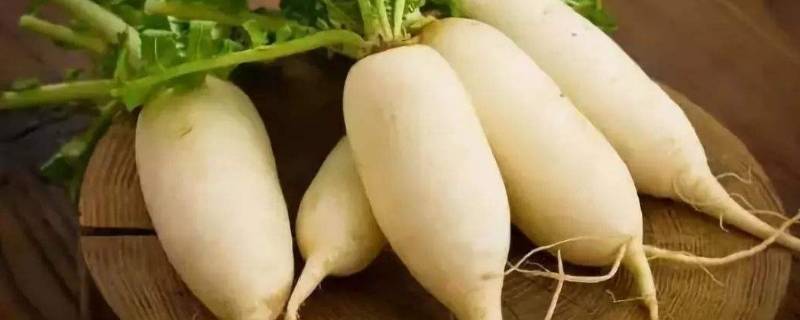 白萝卜放冰箱能放几天（切开的白萝卜放冰箱能放几天）