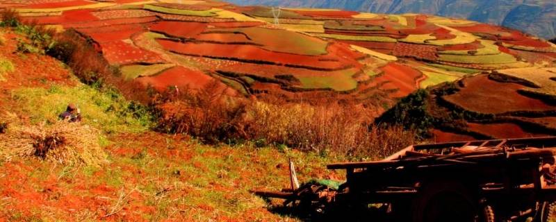 东川省是哪里（东川省是哪里的省会）