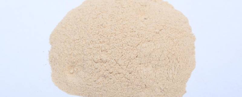 果胶酶的作用原理 果胶酶的作用原理是什么