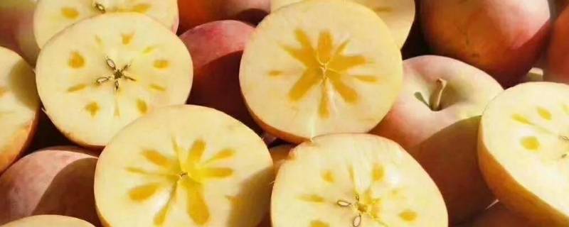 糖心苹果产地在哪里 糖心苹果哪里产的最好吃