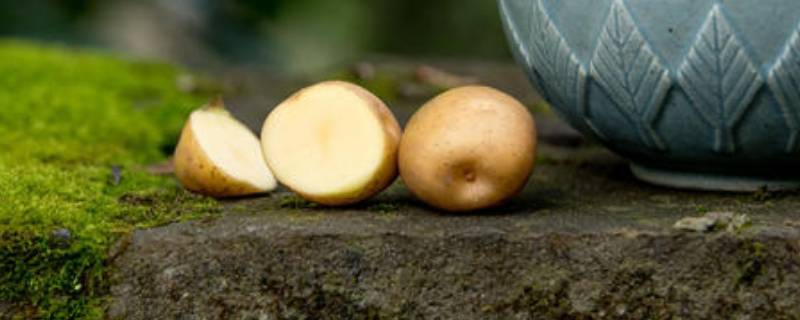 土豆里面有黑色条纹能吃吗 土豆里面有黑色条纹能吃吗有毒吗