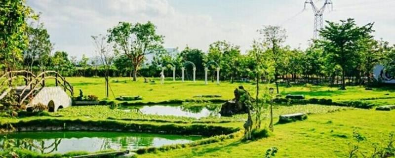 亚维浓生态园在哪里（亚维浓植物园门票价格）