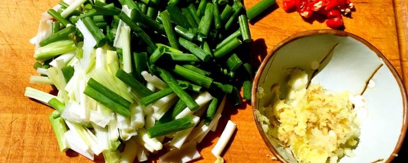 一天长一葱是多长时间（葱一天长多少厘米）