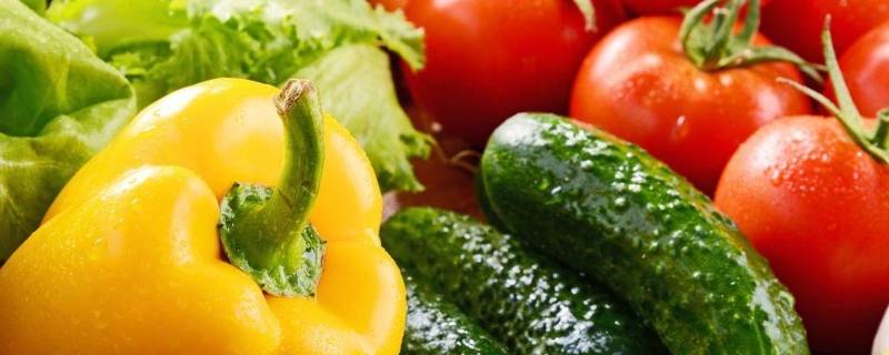 有机菜是什么菜 有机蔬菜和无机蔬菜的区别