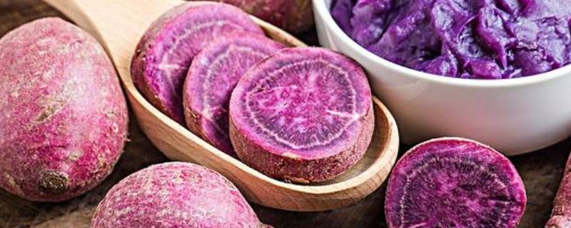 紫色的蔬菜有哪些（五种颜色的蔬菜有哪些）
