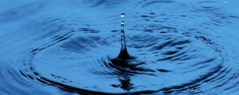 为什么说水是生命之源（为什么说水是生命之源30字）