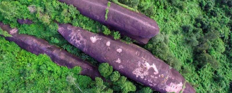 三鲸石是什么 三鲸岩是真的吗