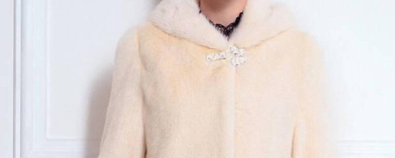 米黄是原色貂吗 米黄色是本色貂吗