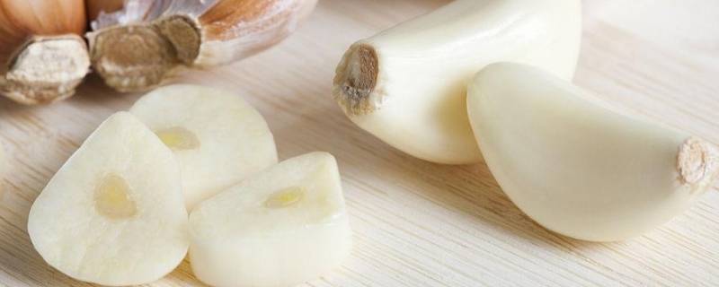 干大蒜怎样可以储存一年（干大蒜怎样可以储存一年不发芽）