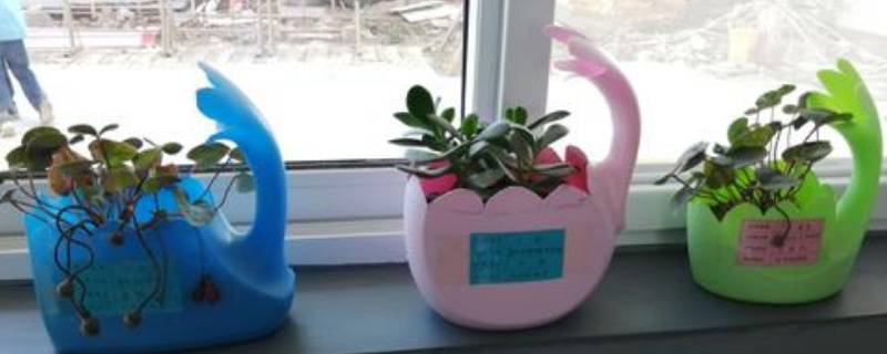 生活中废旧物品再利用有哪些 生活中废旧物品再利用有哪些好处