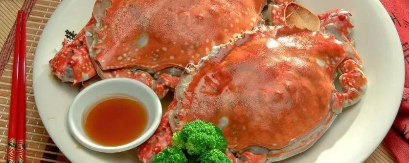 梭子蟹怎样挑选肥的 梭子蟹肥美的挑选方法