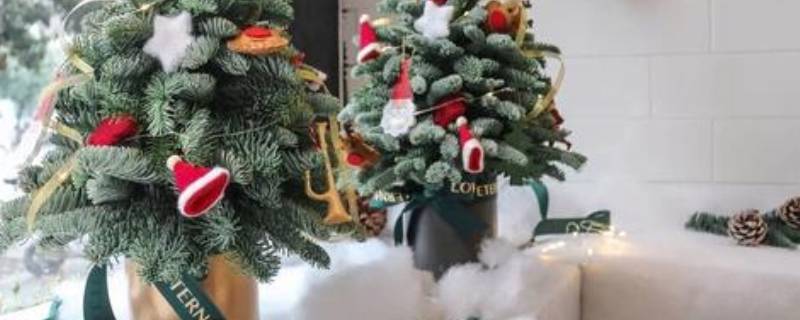 诺贝松的寓意 诺贝松的寓意和象征