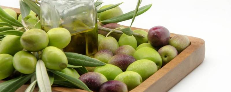 金香榄可以直接吃吗 金香榄能吃吗