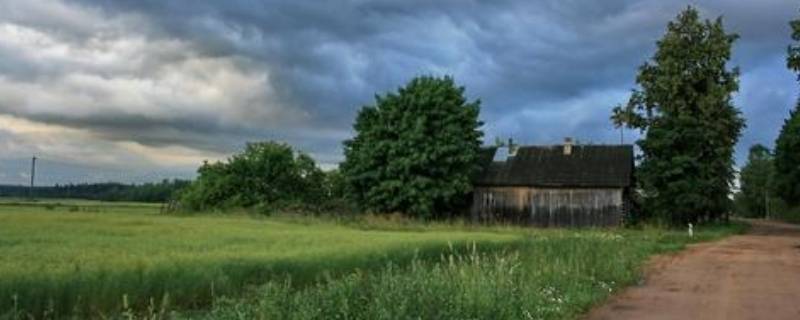 belarus是哪个国家的（beira是哪个国家的）