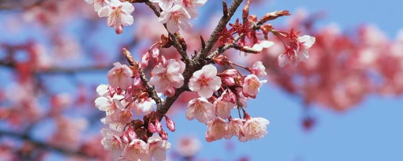 暮春是几月份（暮春的意思）
