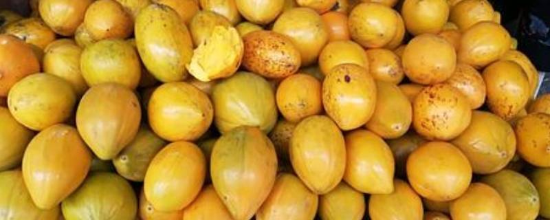 鸡蛋果怎么催熟快 鸡蛋果怎么催熟快又好吃