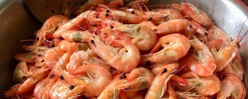 煮熟的虾放冰箱冷藏之后还能吃吗 煮熟的虾放冰箱冷藏之后还能吃吗会坏吗