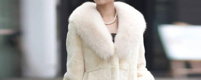 獭兔毛怎么洗（獭兔毛怎么洗才干净）