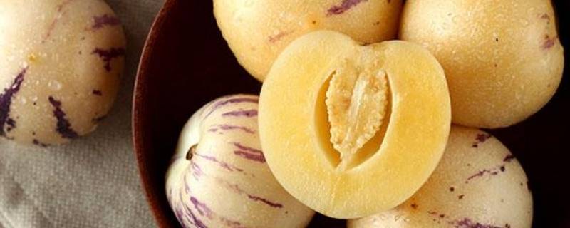 人参果可以加热吃吗（人参果可以加热吃吗泛昔洛韦片一天吃几次一次多少片）