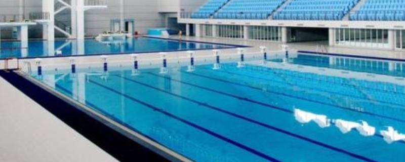 标准泳池的长和宽是多少米（标准泳池的长和宽是多少米泳道多宽）