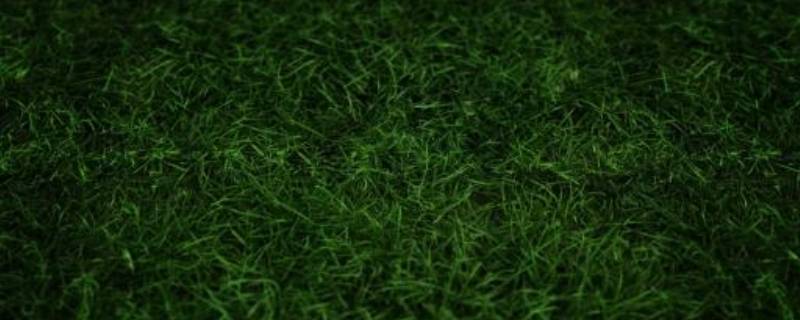 绿色加什么颜色变深绿(颜料调色表大全)