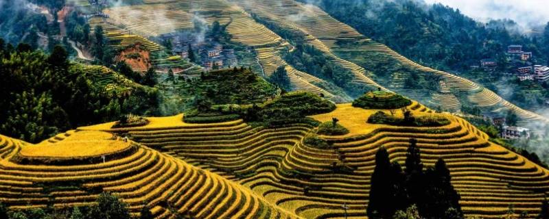 龙脊梯田在广西哪个县（龙脊梯田位于广西哪里）