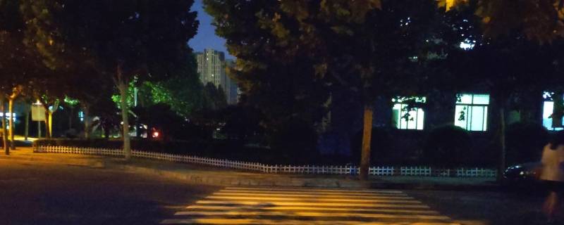 夏天的夜晚有什么昆虫的叫声（10种代表夏天的昆虫）