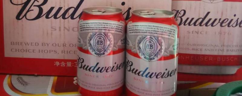 一听啤酒是多少瓶 中奖一听啤酒是多少瓶