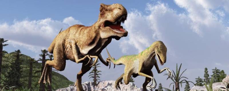 霸王龙的外形特点 霸王龙的外形特点简写