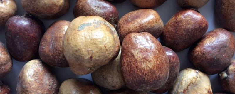 佛心果的颜色是天然的还是人工的 佛心果什么颜色最好