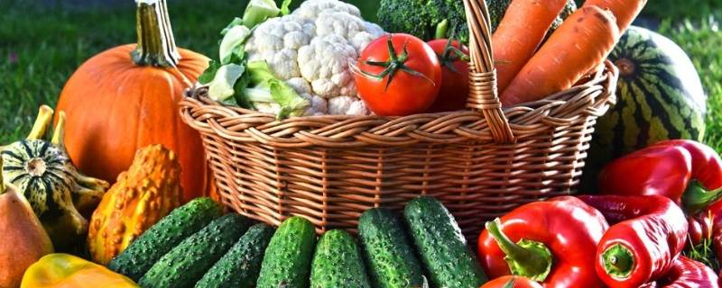 可以当染色剂的水果蔬菜（染色力最强的蔬菜）