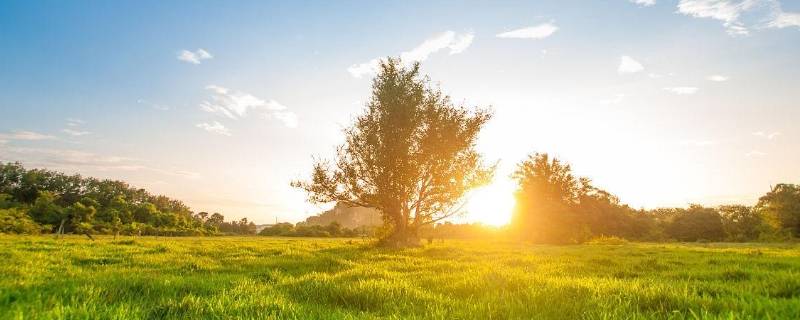 阳光的寓意和象征 一缕阳光的寓意和象征